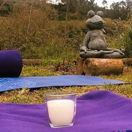 Quinta Da Vida Serena 4* Gaio