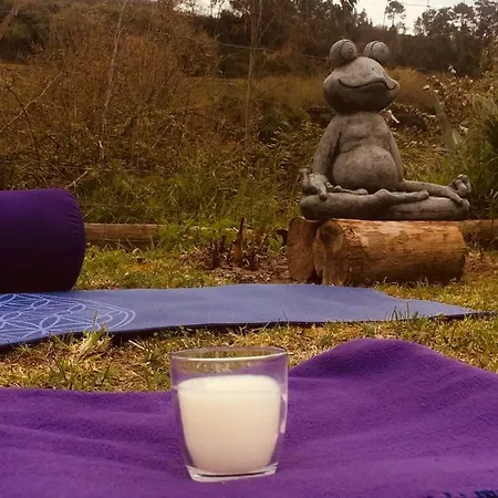 Quinta Da Vida Serena Gaio