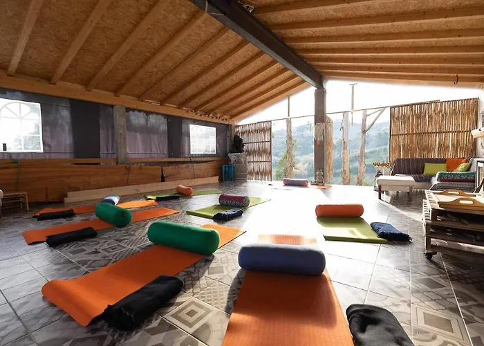 Quinta Da Vida Serena Gaio