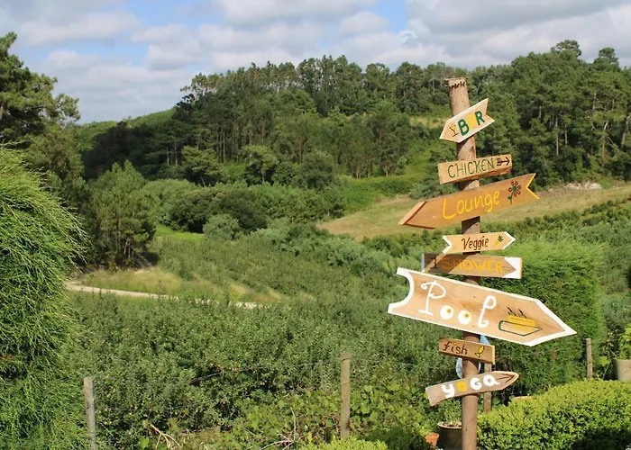 Bed & Breakfast Quinta Da Vida Serena Gaio